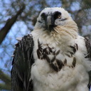 sheiruki-takes-photos avatar