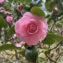 sheisalivingchild avatar