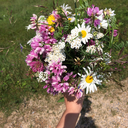 sheisthew0rst avatar