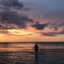 shekeepshimwild avatar