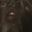 shelbiemalynn13 avatar