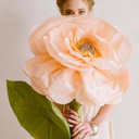 shelbytanner-blog-blog avatar