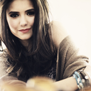 shelbytheme-blog avatar