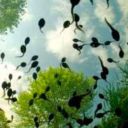 shelikesmysparkles avatar