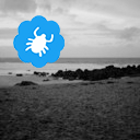 shellcollector avatar