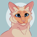 shellfrost-blog avatar