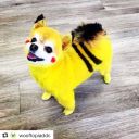 shellshockedcrab avatar