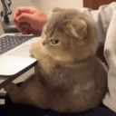 shellyyyjellyyyy avatar