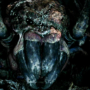 shelobthespider--blog-blog avatar
