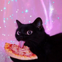 sheloveskitties avatar