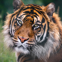 shelovestraveling avatar