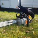 shelovetotakeanap avatar