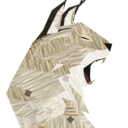 shelter-series avatar