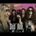 sheltered-peace-of-mind avatar