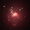 shelters-punkest-mutt avatar