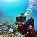 shenanigansabroad avatar