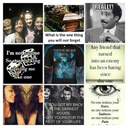 shepdzsheppard avatar