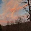 shepherdofthesky avatar