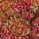 sheriffaxolotl avatar