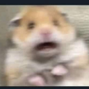 sherlock-holmeless avatar