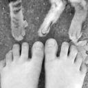 sherlockedkitty avatar