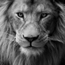 sherlockgibisosyopat avatar