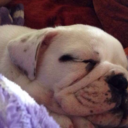 sherlockholmesismytype avatar