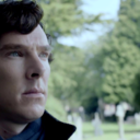 sherlockreactionimages-blog avatar