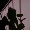 shes-a-ghost-girl avatar