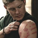 shes-beauty-shes-ace avatar