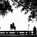 shes-equilicious-blog avatar