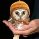 shes-got-a-way-about-her avatar