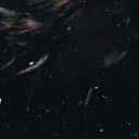 shes-no-angel avatar