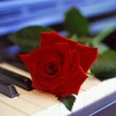 shes-right-on-time avatar