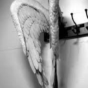 shes-sweet-but-not-innocent avatar