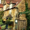 shes-the-latest-it-girl avatar