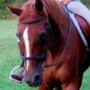 shesadollfixer avatar