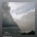 shesaferalfleabag avatar