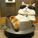 shesaidshewantsthelolly avatar