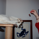 shesaidtotheuniverse avatar