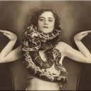 shesasnake-blog avatar