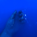 shesbreathless avatar