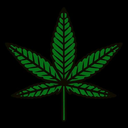 shesbroken-inside2 avatar