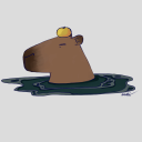 shesellsshells avatar