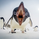 shesleepsfromdreams avatar