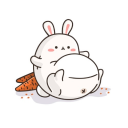 shesmellslikecookies avatar