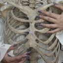 shesmyelysium avatar