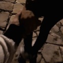 shesmyeverything avatar