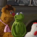 shesmykindofboi avatar