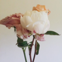 shesodamndope avatar